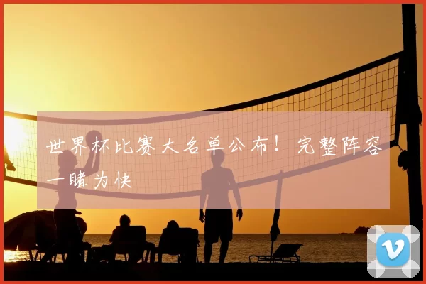 世界杯比赛大名单公布！完整阵容一睹为快