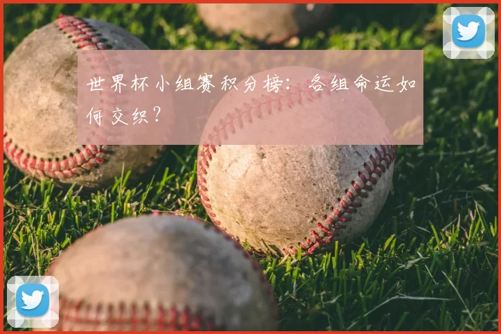 世界杯小组赛积分榜:各组命运如何交织?