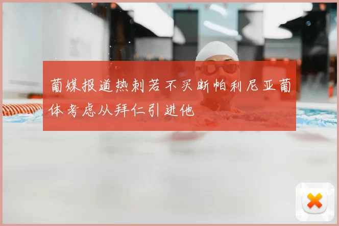 葡媒报道热刺若不买断帕利尼亚葡体考虑从拜仁引进他