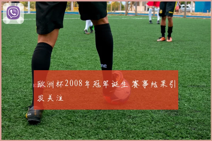 欧洲杯2008年冠军诞生 赛事结果引发关注