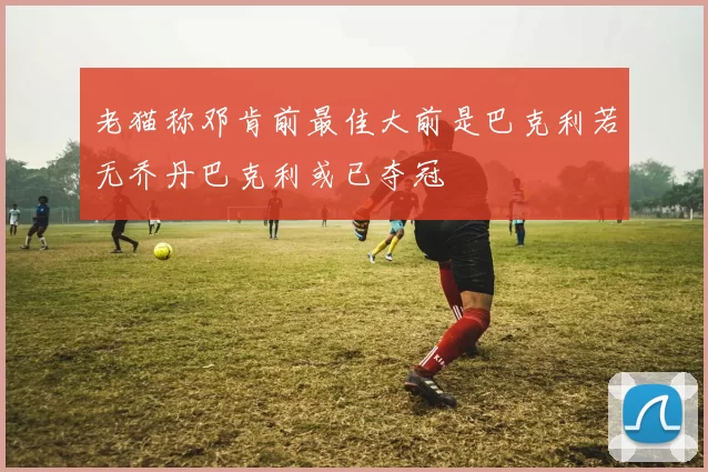 老猫称邓肯前最佳大前是巴克利若无乔丹巴克利或已夺冠